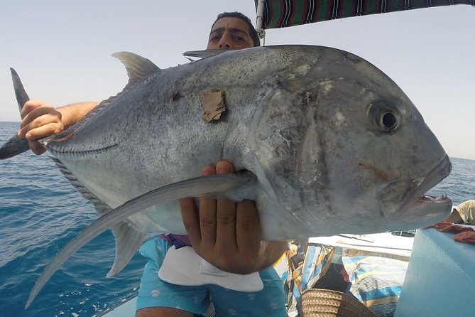 Private Fishing Overnight with Equipment and Dinner - Hurghada - Two fishing stops, with time to change tactics