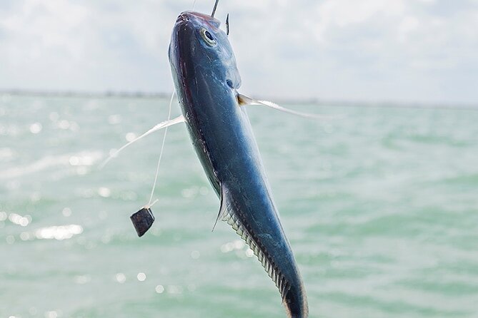 Private Fishing Tour from Isla Holbox (up to 6 pax) - Simple Handline Fishing, Not Rod-and-Reel Sport Fishing
