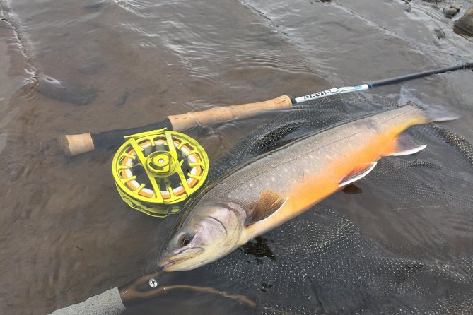 Private Fishing Tour from Reykjavik - Arctic Char and Brown Trout - Arctic char, brown trout, and fishing methods