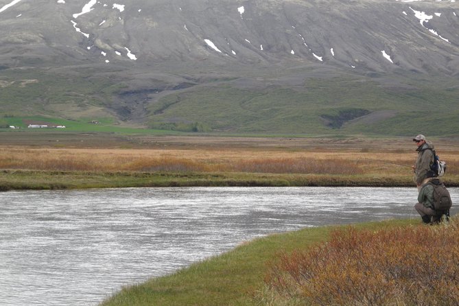 Private Fishing Tour from Reykjavik - Arctic Char and Brown Trout - What the guide adds to the day