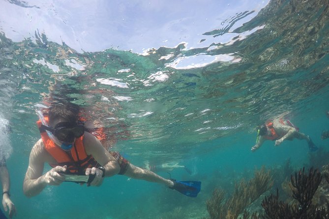 Private Fishing Tour in Yacht Playa del Carmen - Drinks are included, but lunch is not