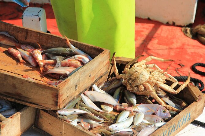 Private Fishing Trip in a Traditional Boat from Athens - From Athens to Rafina Port at 5:00 pm