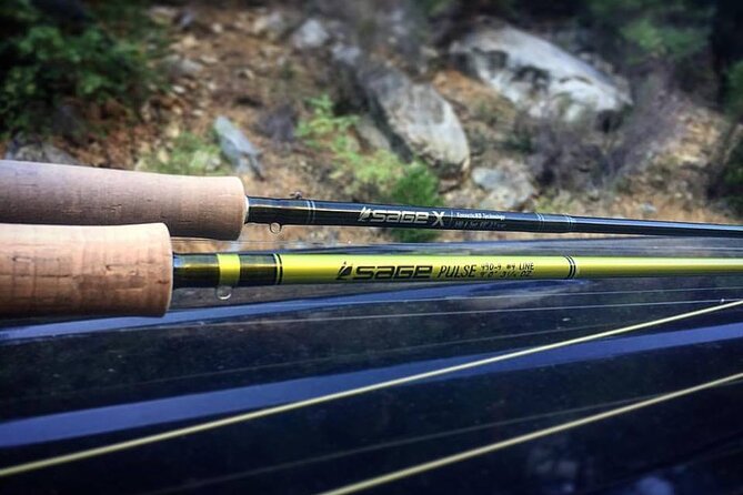 Private Full Day Fly Fishing For Beginners and Experienced Anglers - Choosing between Yosemite and Stanislaus National Forest