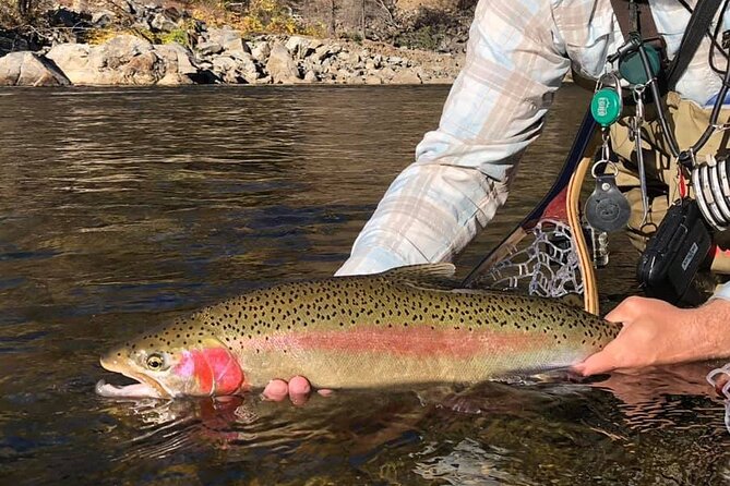 Private Full Day Fly Fishing For Beginners and Experienced Anglers - Why experienced anglers may still enjoy it