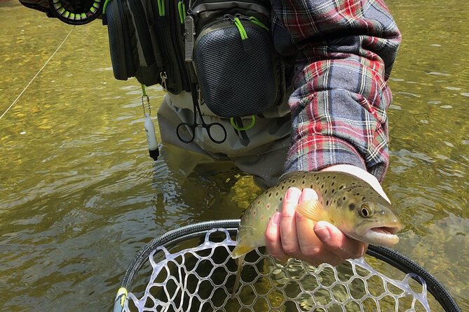 Private Full Day Fly Fishing For Beginners and Experienced Anglers - What beginners can expect on the water