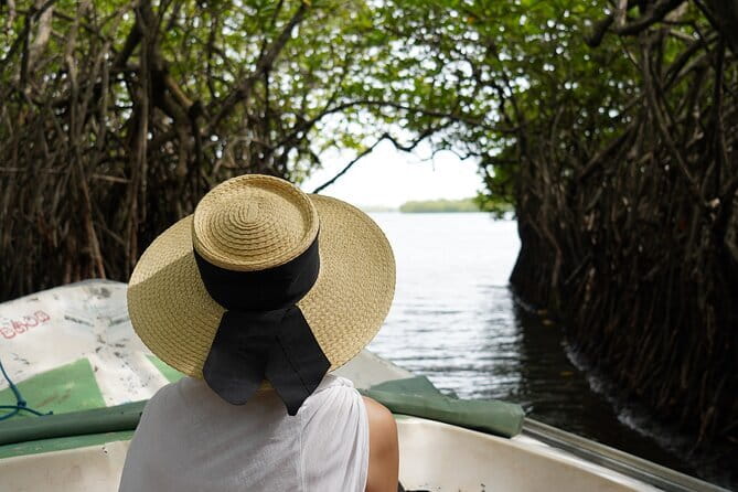 Private Galle Day Tour with River Safari, Stilt fishing & Turtles - Why this private Galle tour works well from Bentota