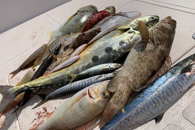 Private Game Fishing Trip with Sightseeing in Muscat - The private format and group size