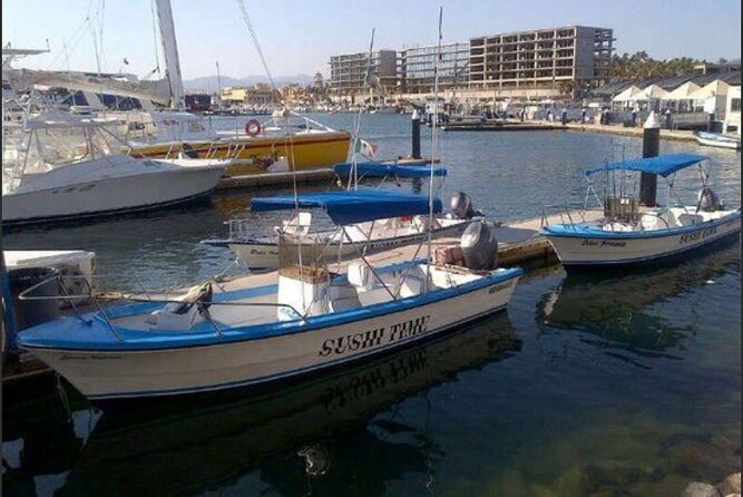 Private Half-Day Sport Fishing in Los Cabos - Fishing the Sea of Cortez or Pacific