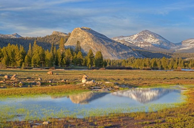Private High Country Fly Fishing Adventure - Key points to know before booking