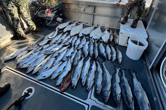 Private Ketchikan Halibut and Salmon Fishing Charter - Fishing Licenses, Catch Processing, and Shipping Fish Home