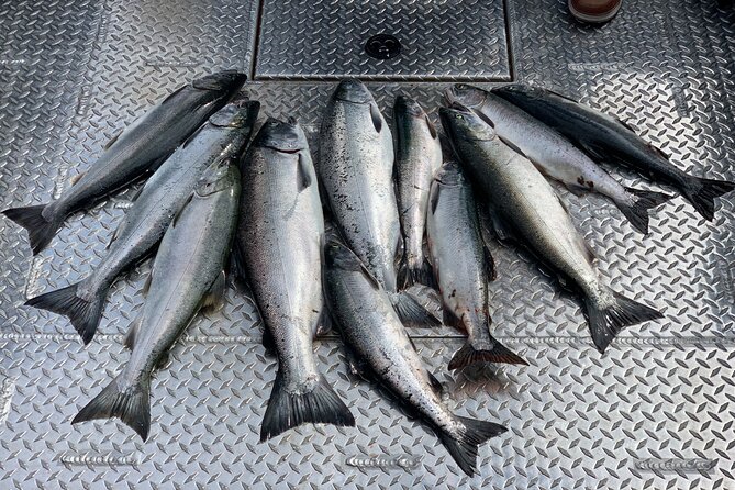 Private Ketchikan Wild Alaskan Salmon Fishing Trip - Starting at 425 Water Street in Ketchikan