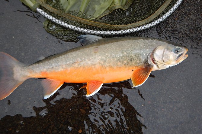 Private Lake and River Fishing Tour from Reykjavik - What the included gear and permits mean
