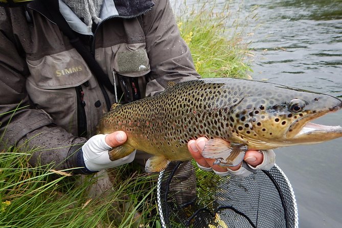 Private Lake and River Fishing Tour from Reykjavik - What kind of catch should you expect?