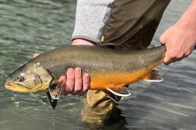 Private Lake and River Fishing Tour from Reykjavik - Learning fly fishing without feeling rushed