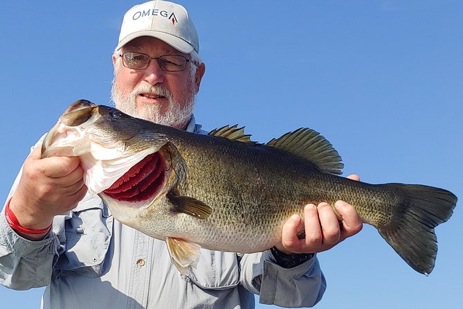 Private Lake Tohopekaliga Fishing Charter near Orlando - What happens during the four hours
