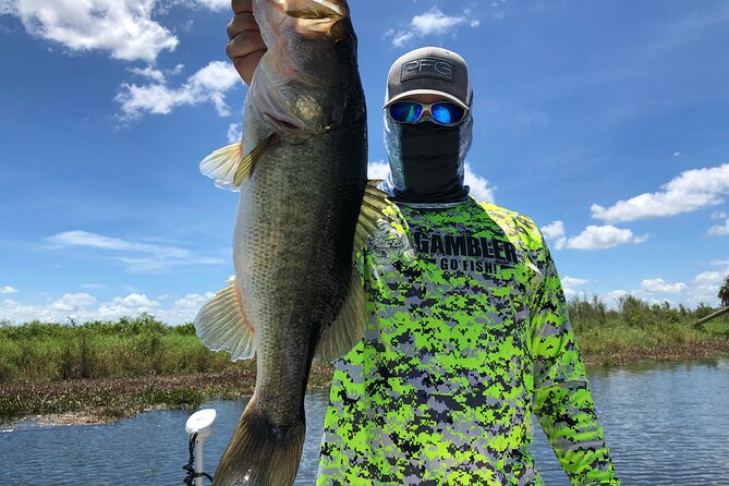 Private Pontoon Fishing Charter on Lake Tohopekaliga in FL - Bald eagles, alligators, and the Florida setting