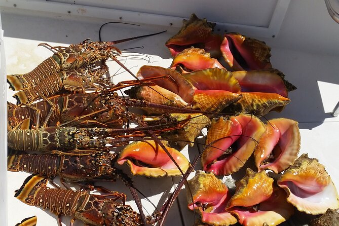 Private Snorkeling And Fishing Activity - Three or four islands, with beaches made for a pause