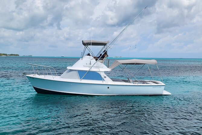 Private Snorkeling or Fishing from Nassau - 31ft Sitting Pretty - Key points at a glance