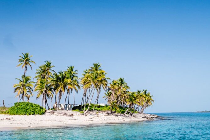 Private Snorkeling or Fishing from Nassau - 31ft Sitting Pretty - Weather, cancellations, and planning ahead