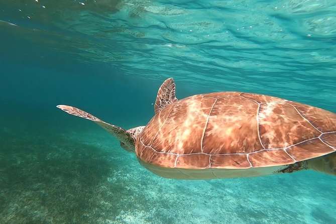 Private Snorkeling or Fishing in Nassau - 55ft Cocorijo - Practical Booking Advice