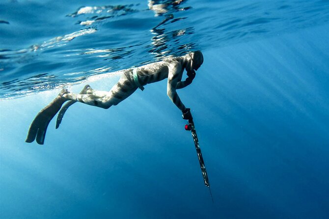 Private Spearfishing Trip From Athens - Leaving Athens for the Coast