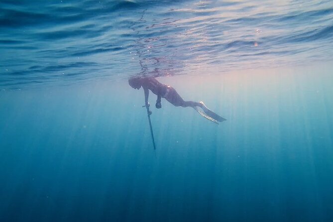 Private Spearfishing Trip From Athens - What You Eat, and What You Do Not