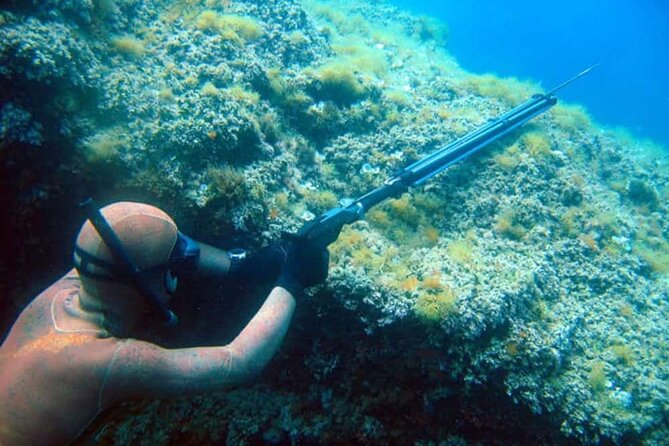 Private Spearfishing Trip From Athens - At the Port: Health Check and Equipment