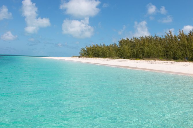 Private Speed Boat for Snorkeling or Fishing in Nassau - 34ft - What the $880 Nassau charter really buys