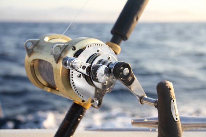 Private Sport Fishing Charter Experience in Cabo San Lucas (5 Hours) - Food, breakfast, and an open bar