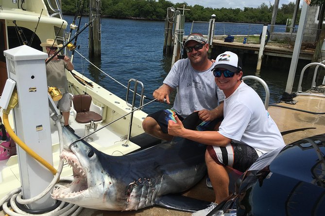 Private Sportfishing Charter For Up To 6 People - Chasing sharks and other possible catches
