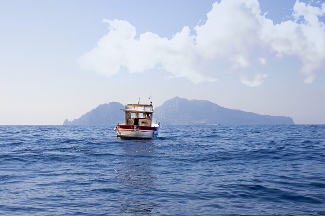 Private tour with fishing, tour of Capri and lunch on board - Who should book this private Capri tour?