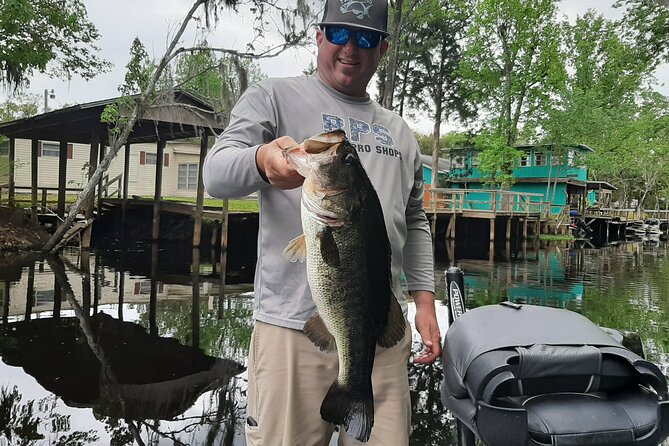 Private Trophy Bass Harris Chain of Lakes Fishing Charter - Key points to know before you book