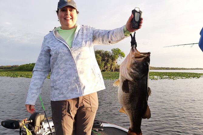 Private Trophy Bass Harris Chain of Lakes Fishing Charter - Gear, licenses, and live bait