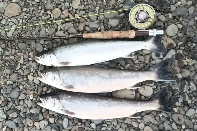 Private Trout and Char Fishing in Icelandic Serenity Experience - What the guide adds to the day