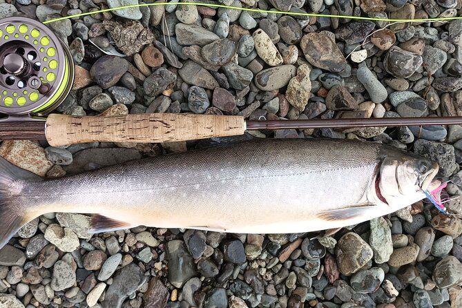 Private Trout and Char Fishing in Icelandic Serenity Experience - Lunch by the river and what is included