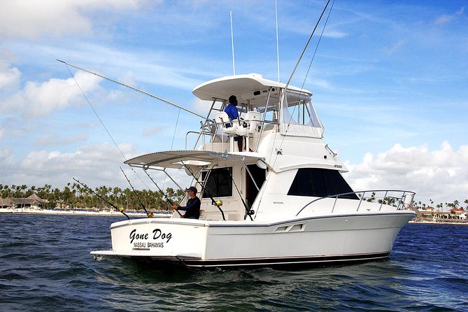Punta Cana Offshore Deep Sea Fishing Charter - What the fishing part is really like
