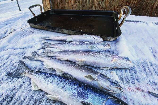 Quick and Easy Ice Fishing at Chena Lake - Fresh Fish on the Grill