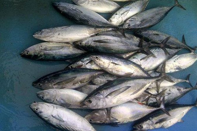 Racha Island Game Fishing & Trolling From Phuket - Practical planning for the 7:30 a.m. start