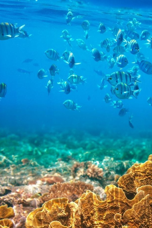 RedRiverTour-Discovery 3 Islets, Snorkeling &Fishing By Boat - Key points before you book