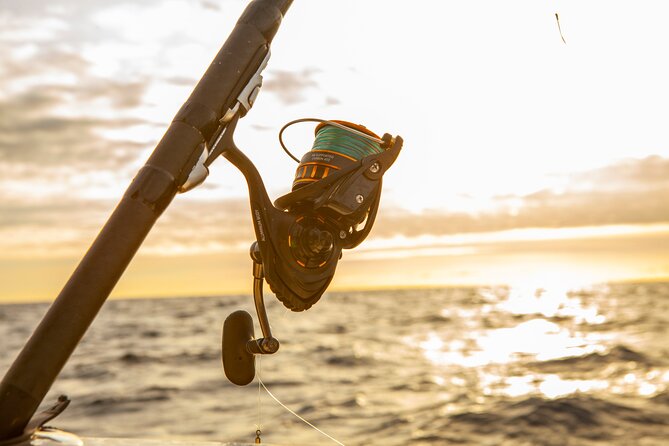 Reef Fishing Experience from Portimao - Key points to know before you book