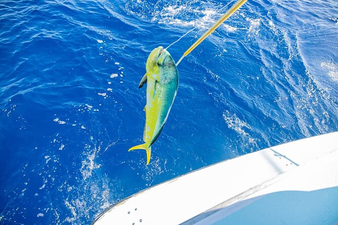 Reel Adventures: A Fin-tastic Fishing Tour - Weather, cancellations, and who should book