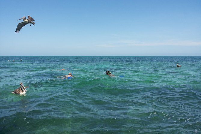 Relaxing private boat tour to Cabo Catoche with fishing - A walk on the remote beach