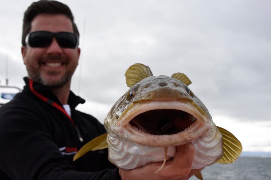 Reykjavik: 3-Hour Sea Angling Gourmet Experience Tour - Group size, comfort, and the sea conditions