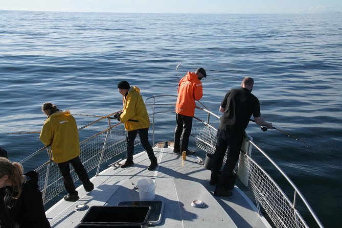Reykjavik Sea Angling Gourmet - Sea Conditions, Motion Sickness, and Weather