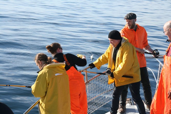 Reykjavik Sea Angling Gourmet - Practical Tips Before You Go