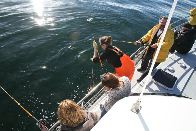 Reykjavik Sea Angling Gourmet - Learning the Rod Without Feeling Lost