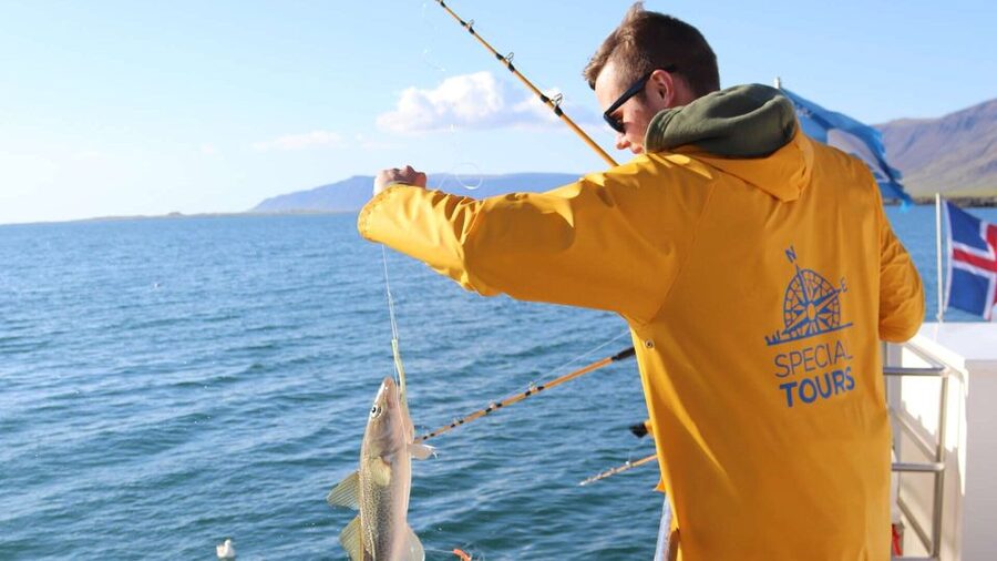 Reykjavik: Sea Fishing Boat Tour & BBQ with the Day's Catch - My verdict: book it for the people and the meal