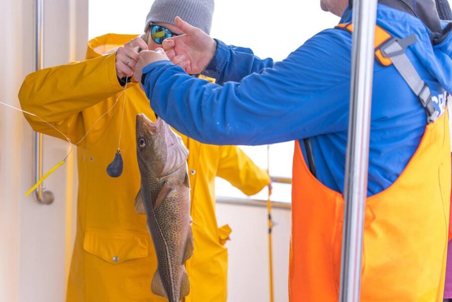 Reykjavik: Sea Fishing Boat Tour & BBQ with the Day's Catch - What the fishing feels like for beginners