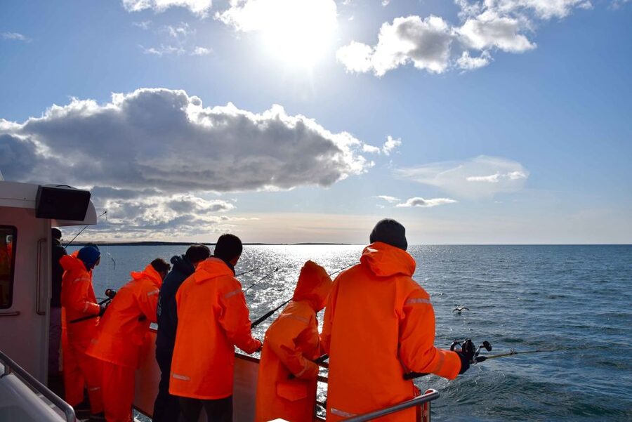 Reykjavik: Sea Fishing Boat Tour & BBQ with the Day's Catch - Boat comfort, group size, and the weather question