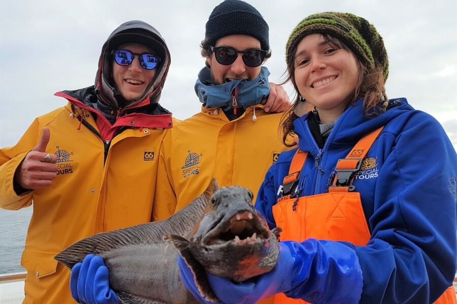 Reykjavik: Sea Fishing Boat Tour & BBQ with the Day's Catch - Is $141 a good value?
